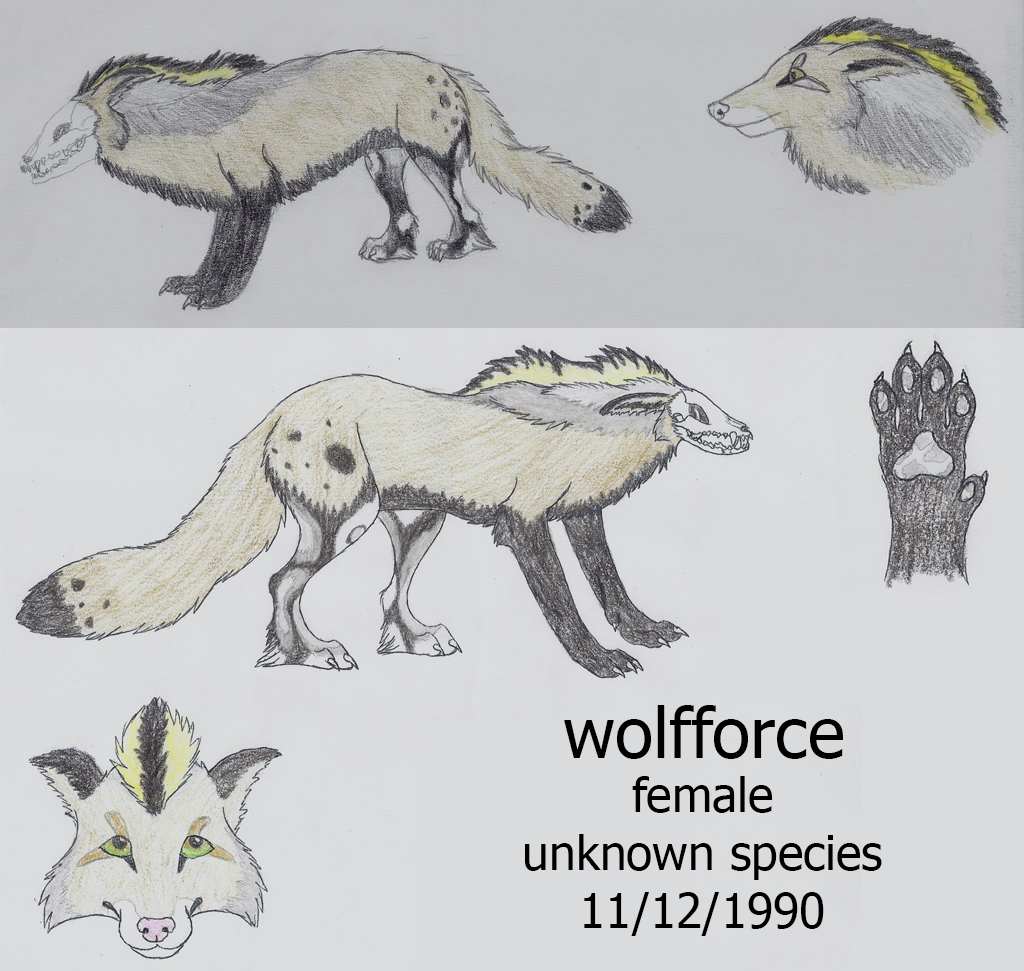 wolfforce Reference Sheet