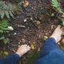 Barefoot in the Woods