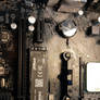 Technical Affairs (11)
