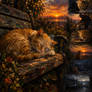 The Cat Who Waited for the Last Light