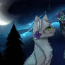 Cats Warriors [Jayfeather x Half Moon]