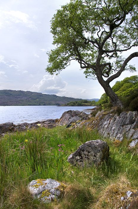 Loch Sunart