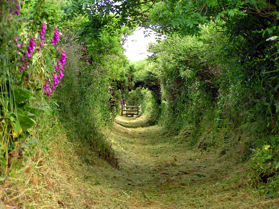 A country path