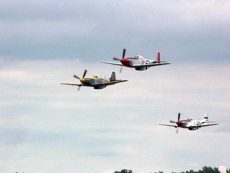 North American P-51 Trio '07