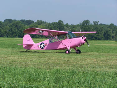 L-2 Grasshopper in... Pink?