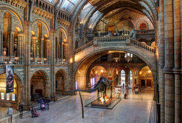 Natural History Museum