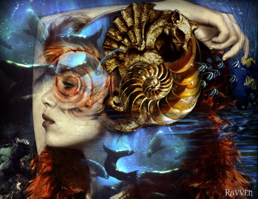 Shell Queen Shell Queen by RavvenArt on DeviantArt