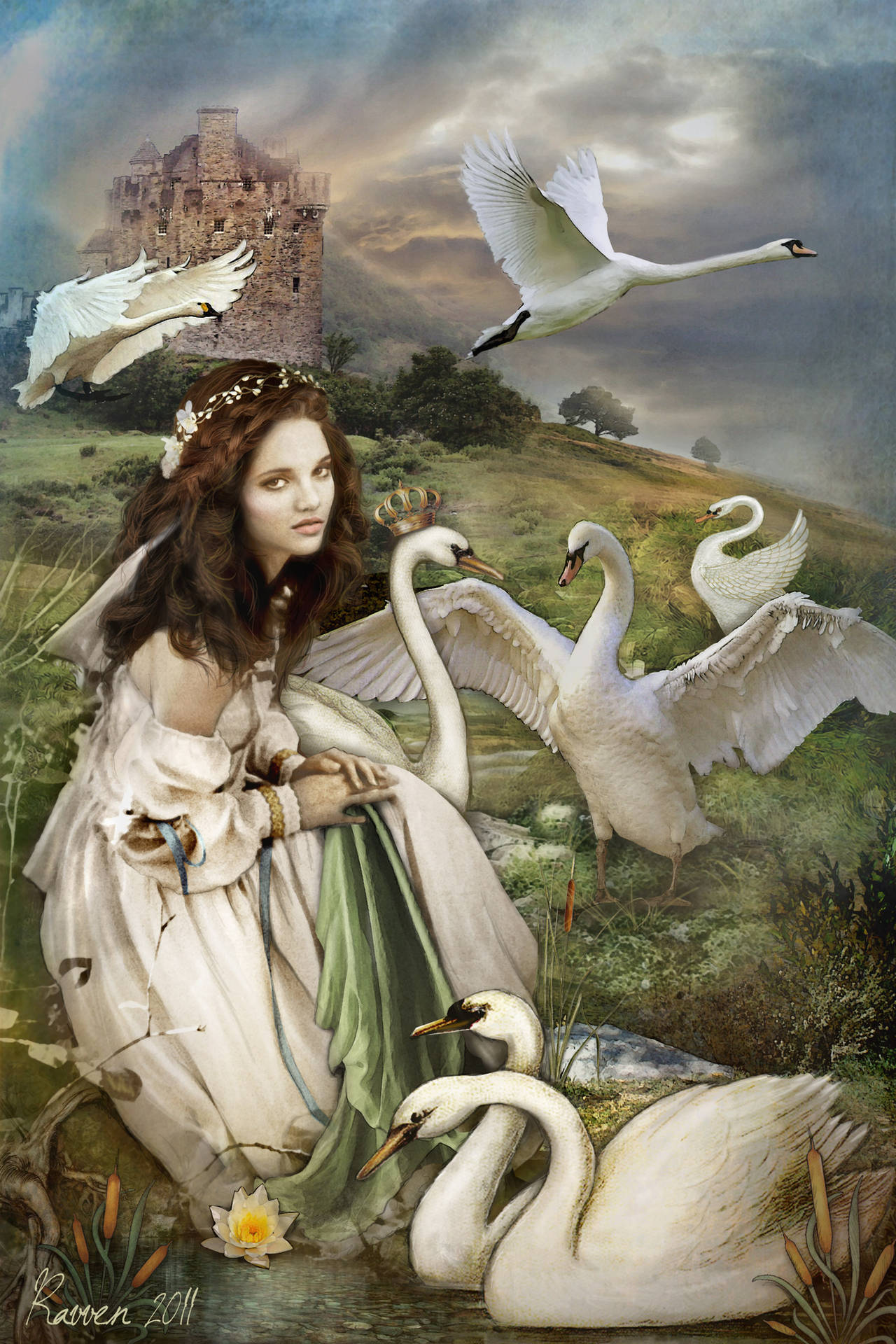 The Wild Swans by Ravven78