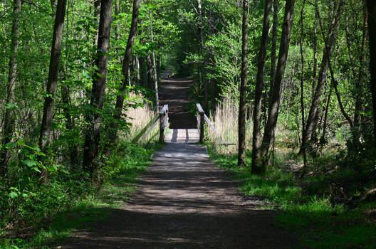 Bridge in bright daylight