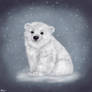 Polar bear cub