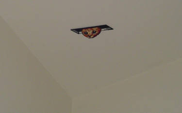 Hama Beads - Ceiling Cat