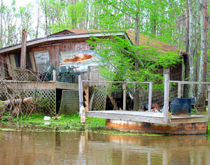 Swamp Fish House 1