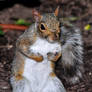 You Talkin' to Me?