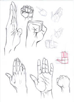 Hands Anathomy Sketch