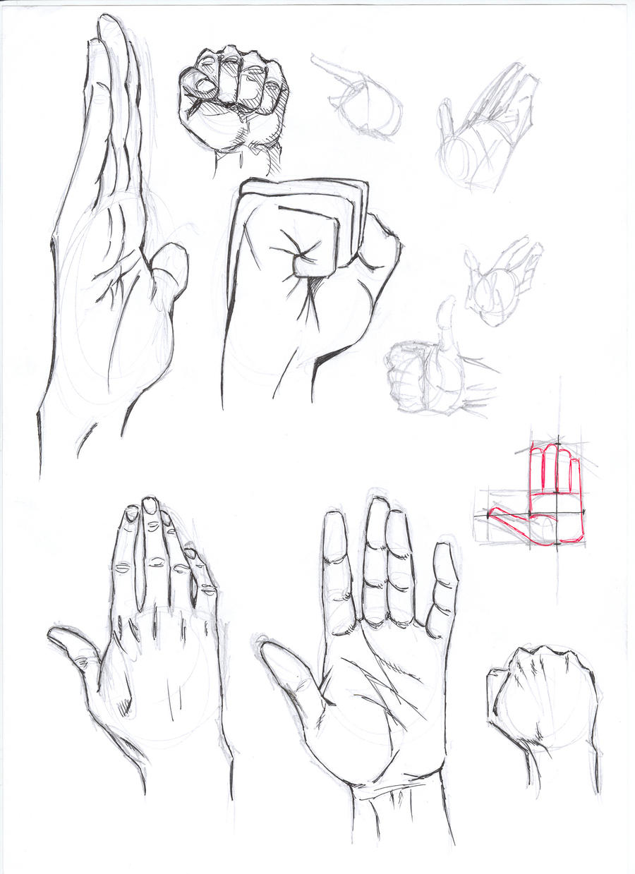 Hands Anathomy Sketch