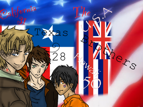 hetalia the usa brothers