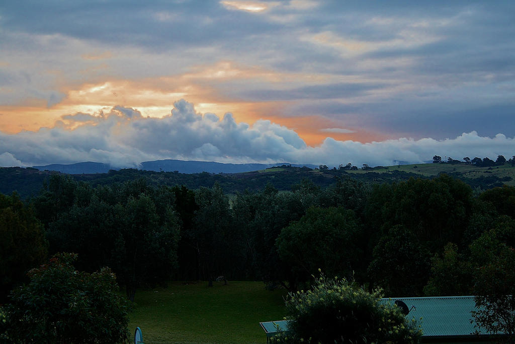 Illawarra Sunset