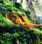 Leaf... by MateuszPisarski