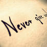 Never ...