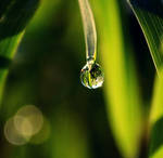 . : Drop : . by MateuszPisarski