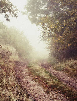 Misty Path.