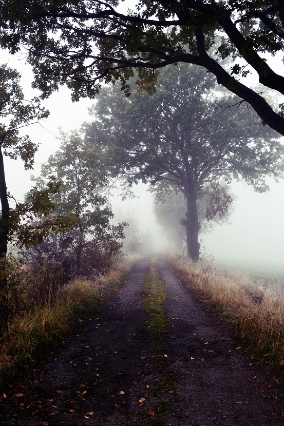 Foggy day.