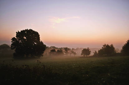 morning fog in Poland