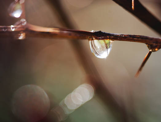 Shiny Droplet.