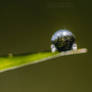 Big world in tiny droplet.