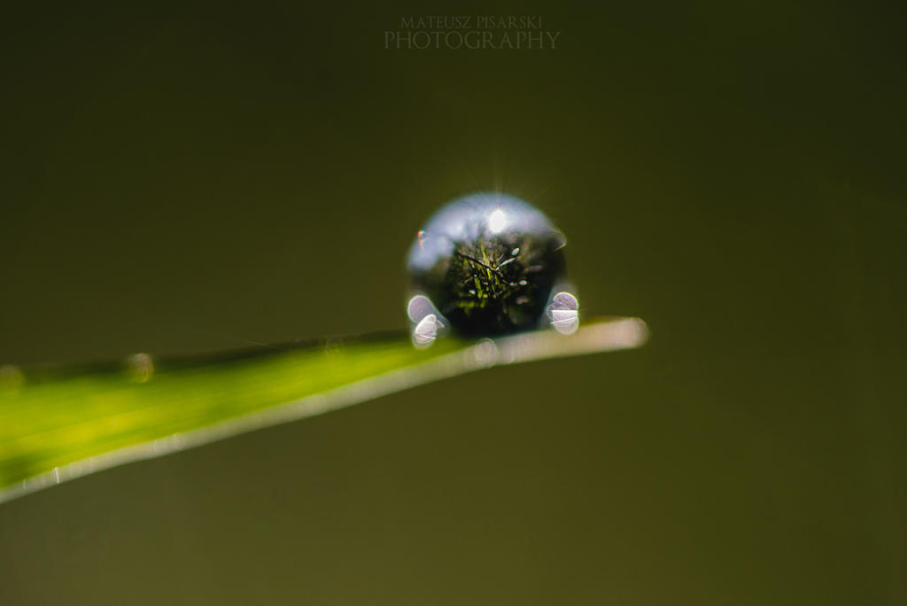 Big world in tiny droplet.
