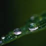 close to droplet.