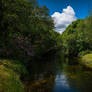 river chill