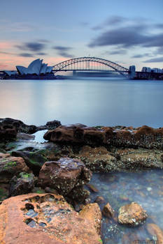 Opera House and Harbour Bridge