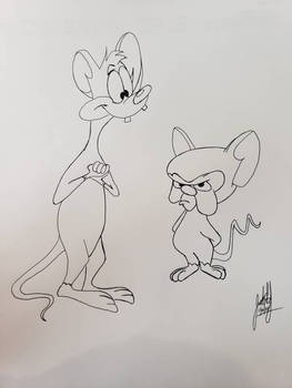 Pinky and the Brain