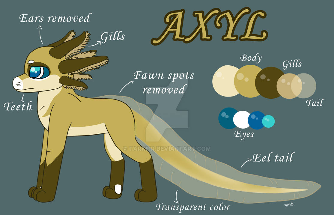 Axyl's Reference Sheet by Tarkfir on DeviantArt