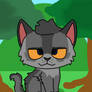 Graystripe