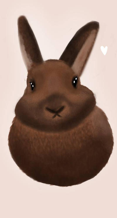Derpy bunny by TrashyButterscotch on DeviantArt