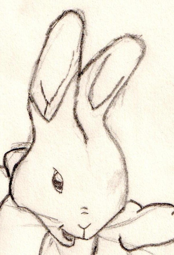 Peter Rabbit Pencil Drawing by MattieBerridge on DeviantArt