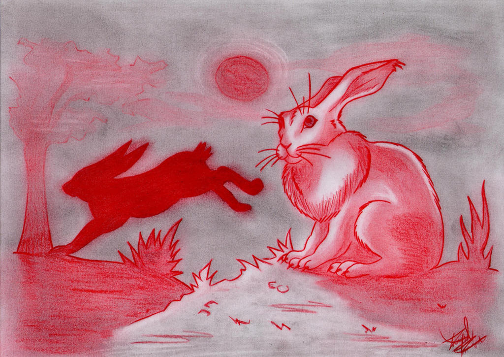 Brown Rabbit Deviantart Rabbit by PrincessKairy on DeviantArt