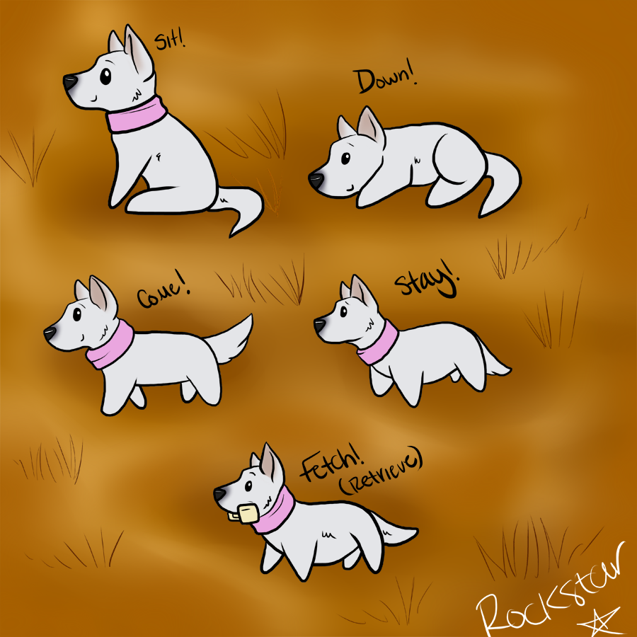 Snowbell Obedience Titles