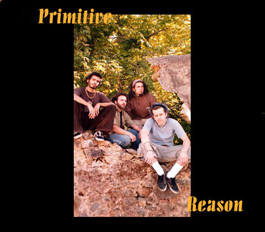 Primitive Reason by PrimitiveReason on DeviantArt