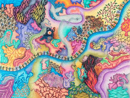 Who Sees What First?