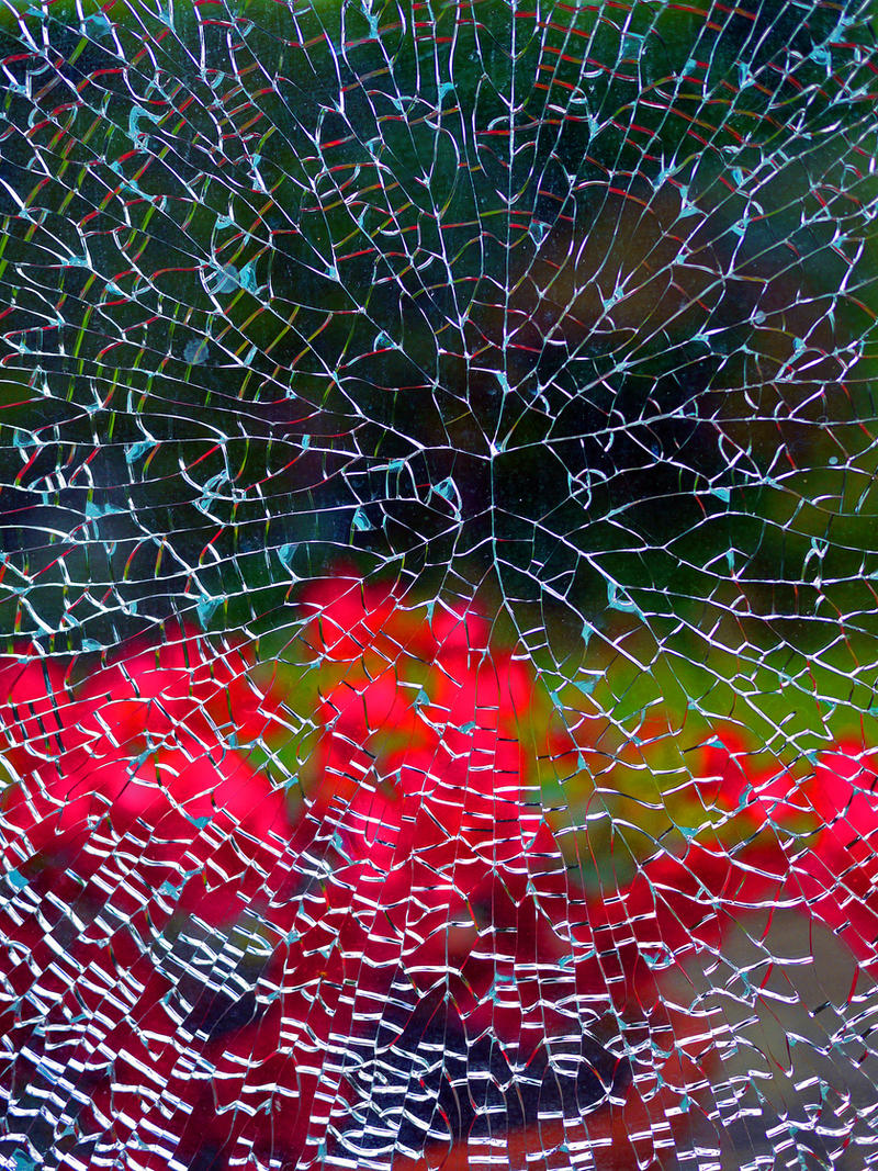 JARDIN AND SHATTERED GLASS