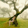 Freedom In Nature