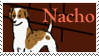 Strayz Stamp Nacho- Request