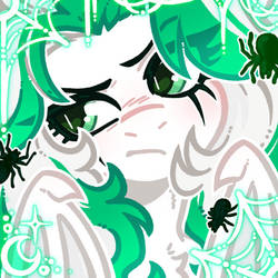spider pone