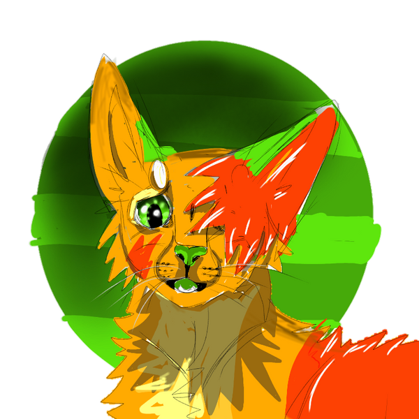 Dapple Ragdoll Dapple by DappleP on DeviantArt
