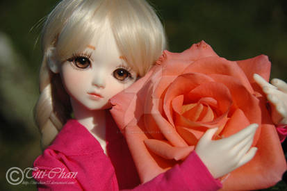 BJD : Luna and the rose