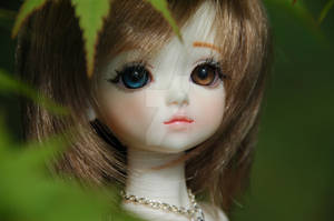 BJD : Candy is Dreaming