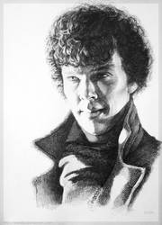 Sherlockstuffinthestrangelight